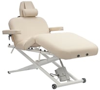 Elegance Pro Salon top.jpg