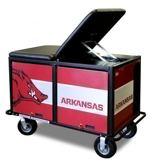 UniversityOfArkansas.jpg