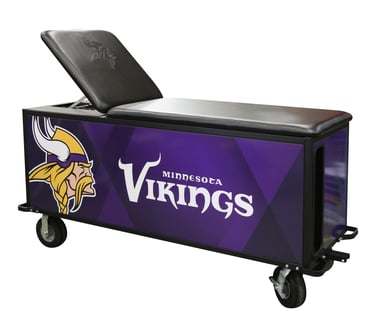 Vikings_AM.jpg